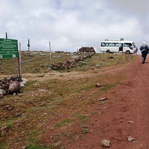 Sanetti Plateau, Bale Mountains NP, 15/10/14