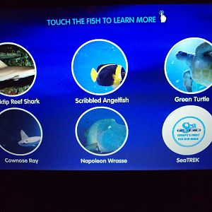 Signage for main tank