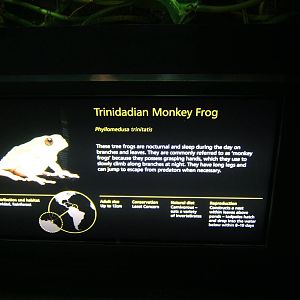 On exhibit signage style