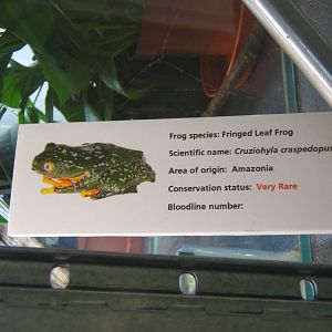 View of signage style for amphibian breeding room