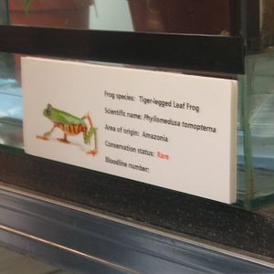 View of signage style for amphibian breeding room