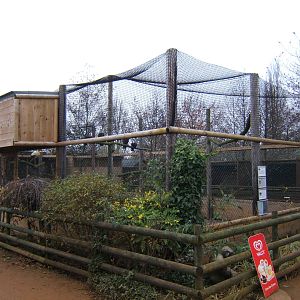 New Vulture Aviary