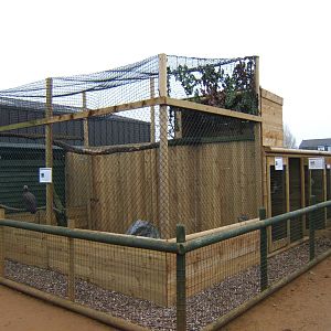 View of new Aviary