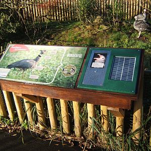 Solar powered inter-active display signs