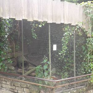 Enclosure European mink