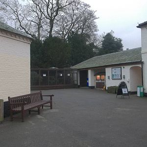 Especially for Pertinax - spot the difference, 29th November 2014