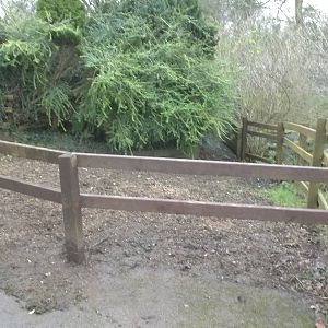 Tree stump removed, 29th November 2014