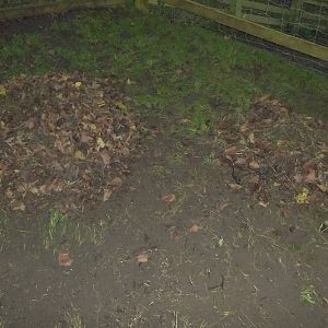 Waiting for the wheelbarrow, 29th November 2014