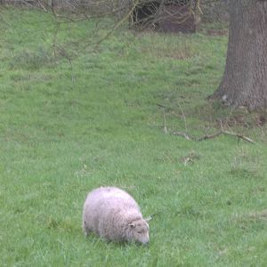 Aprilback where she was born, 30th November 2014