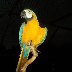 Monty, 30th November 2014