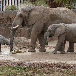 Father, son, daughter.