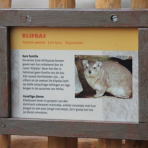 Sign Rock hyrax