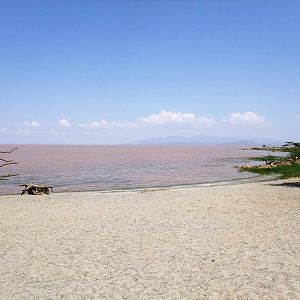 Lake Langano from Bishangari Lodge, 14/10/14
