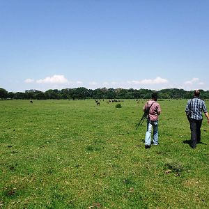 Birding on the Plain, behind Bishangari Lodge, 14/10/14