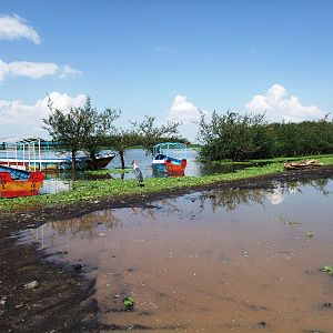 Fish Market Landing Area at Ziway, 13/10/14