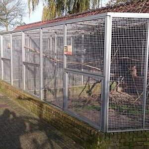 Parrot and parakeet aviaries