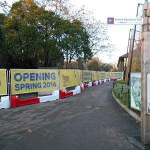 Land of the Lions barriers 6/12/14