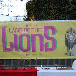 Land of the Lions barriers 6/12/14