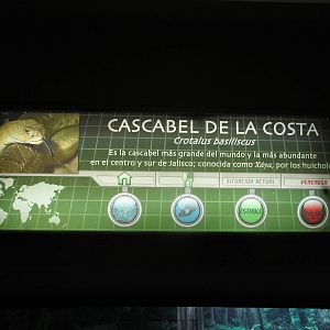 guadalajara zoo sign