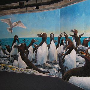 Great Auk mural
