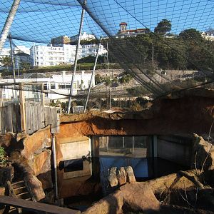 View of now netted over Otter exhibit
