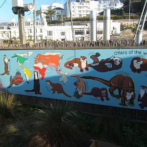 Otter signage