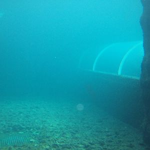 View of under water tunnel