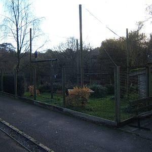View of Marabou Stork Aviary
