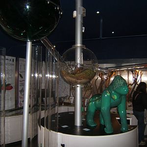 View inside Investigate Incredible Inverts