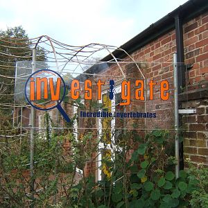 Signage for Investigate Incredible Inverts