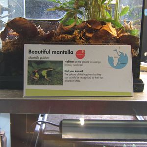 Signage style in Amphibian breeding centre