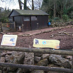View of part of Collared Peccary exhibit