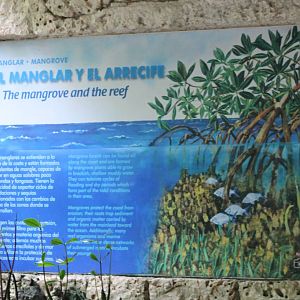Sign Mangrove aquarium