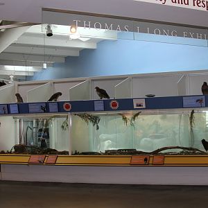 2014 Lindsay Wildlife Museum