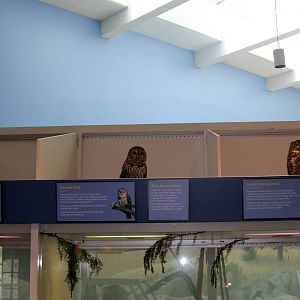 2014 Lindsay Wildlife Museum