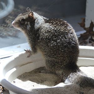 2014 Lindsay Wildlife Museum