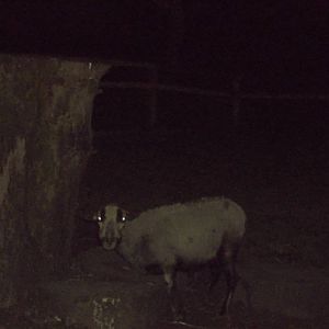 Florrie, 5th December 2014