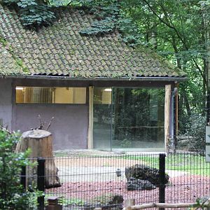 Enclosure Giant anteaters and azara's aguti