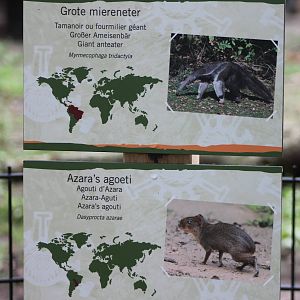Signs Anteater and Aguti