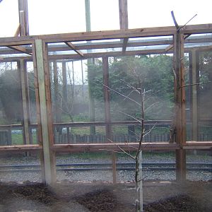 Newly enclosed Railway through Aviary in Pets @ Twycross