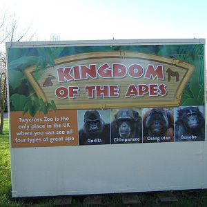 Sign on the back of an Ice Cream kiosk