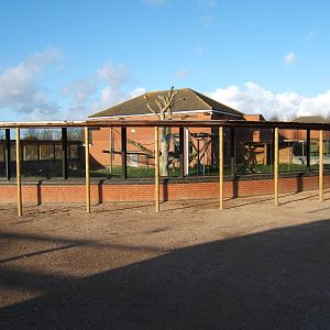 View of covered walkway round the Gorilla`s