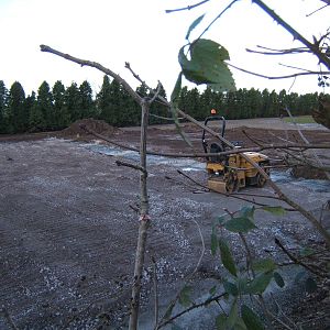 Site of the New Giraffe House