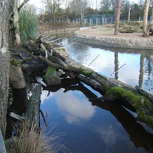 New electric fence round Elephant pool