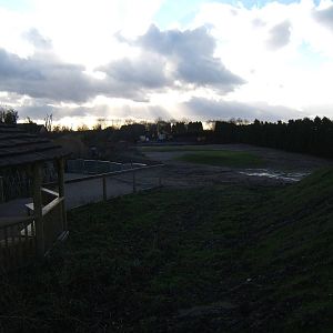 Site of the New Giraffe House