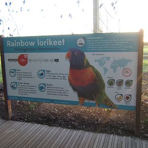 Lorikeet Landings signage