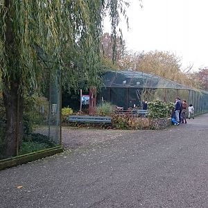 Bird of Prey aviaries