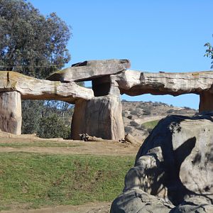 Way, way out of Africa