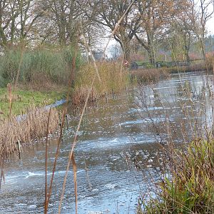 Ice Prevention & Aeration Systems