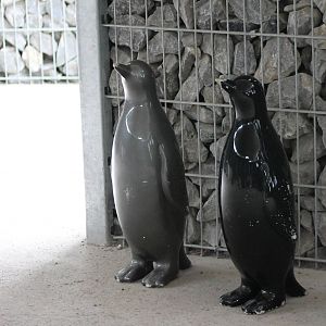 Entrance Penguin enclosure